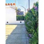 Vistafolia French Lavender Purple Colour (Pack of 10) CBX-LAV-PPL