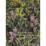 Vistafolia French Lavender Pink Colour Box (Pack of 10) CBX-LAV-PNK
