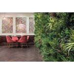 Vistafolia Large Grasses Texture Box (Pack of 18) TBX-GRS