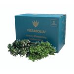 Vistafolia Flowering Texture Box (Pack of 24) TBX-FLW