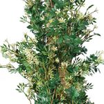 Vistafolia Extendable Jasmine Trailing Foliage TPL-JSM