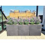 Vistafolia French Lavender Bush Purple FLB-PPL