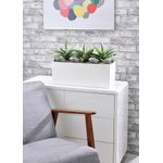 Agave and Succulent Matte White Trough LLRAGS350/RDYWH