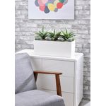 Agave and Succulent Matte Lava Trough LLRAGS350/RDYLV