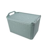 Strata Large Urban Store Basket with Lid 24 Litre Green XW124-LPG-VW