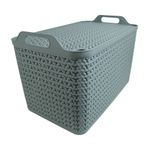 Strata Extra Large Basket with Lid 42L Green XW131-LPG-VW