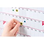 Sasco Year Planner Kit 70080