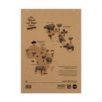Rhino Recycled Flipchart Pad 20mm Sqd/Plain A1 Pack of 5 SRFC-4 CTN