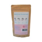 Zilch Washroom Disinfectant Refill Pouch (Pack of 10) ZLC13265