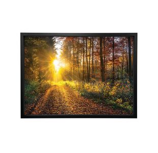 Woodland Walk In The Autumn Framed Print A2 16x24 Inches FP1STVCD30028A2S