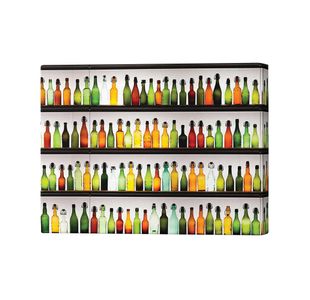 Colourful Bottles Canvas Print 20x32 Inches SC1STVCD05852M