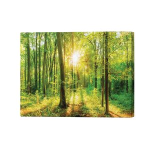 Green Forest Beauty Canvas Print 26x40 Inches SC1STVCD30130L