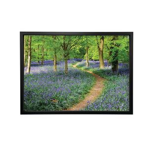 Walk Through The Bluebell Path Framed Print A2 16x24 Inches FP1STVCD16587A2S
