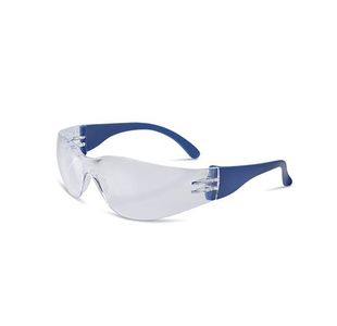 Beeswift Everson Safety Spectacle Clr BBES