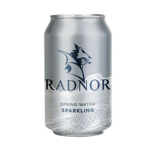 Radnor Spring Water Sparkling 330ml Can (Pack of 24) 0201062