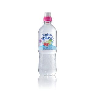 Radnor Hills Splash Still Water Apple Raspberry 500ml (Pack of 24) 0201046