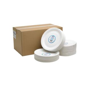 Paper Plate 9 Inch White (100 Pack) 0511041