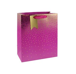 Eurowrap Ombre Gift Bag 210gsm Large Pink Pack of 6 29835-2CC