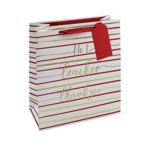 Eurowrap No1 Teacher Bag Medium Pack of 6 27165-3C