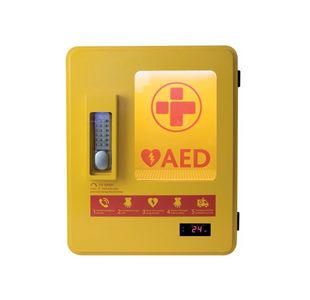 AED Alarmed Outdoor Wall Mountable Heated Metal Cabinet Yellow 2105