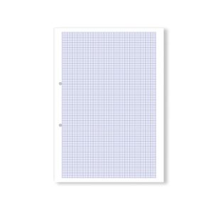 Hamelin Loose Leaf Graph Paper 10mm 1000 Page Punched 2 Hole A4 (Pack of 5) 100104375
