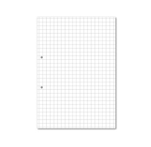 Hamelin Loose Leaf Paper 10mm Squared 1000 Page Punched 2 Hole A4 (Pack of 5) 100104180