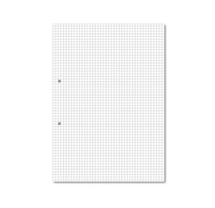 Hamelin Loose Leaf Paper 5mm Squared 1000 Page Punched 2 Hole A4 (Pack of 5) 100103318