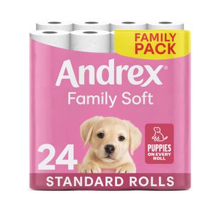 Andrex Family Toilet Roll 2-Ply 170 Sheets Per Roll (Pack of 24) 4978918