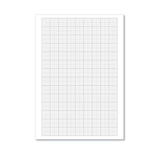 Loose Leaf Graph Paper A4 (500 Pack) 100103410