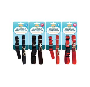 Dog Lead and Collar Small and Medium x2 Assorted Pack of 12 313599