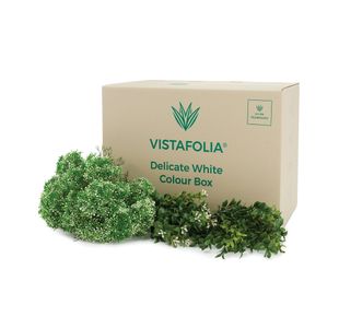 Vistafolia Delicate White Colour Box (Pack of 42) CBX-WHT