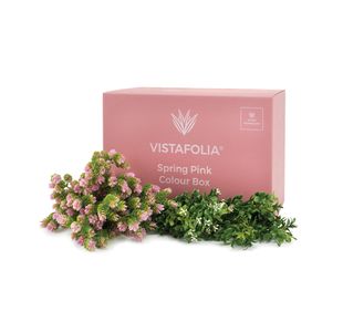 Vistafolia Spring Pink Colour Box (Pack of 30) CBX-SPK
