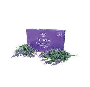 Vistafolia French Lavender Purple Colour (Pack of 10) CBX-LAV-PPL