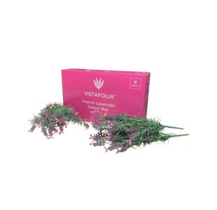 Vistafolia French Lavender Pink Colour Box (Pack of 10) CBX-LAV-PNK