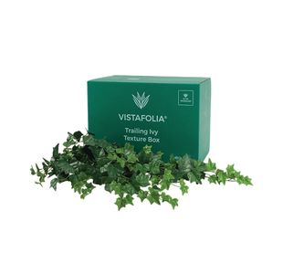 Vistafolia Trailing Ivy Texture Box (Pack of 9) TBX-TIV