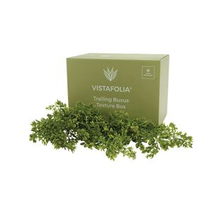 Vistafolia Trailing Buxus Texture Box (Pack of 9) TBX-TBX