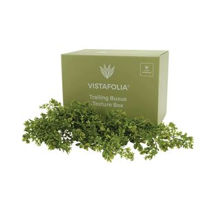 Vistafolia Extendable Buxus Trailing Foliage TPL-BUX