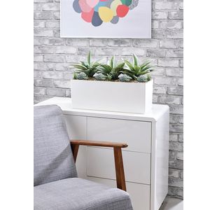 Agave and Succulent Matte White Trough LLRAGS350/RDYWH