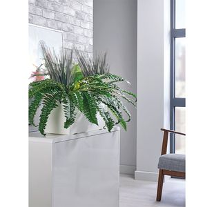 Boston Fern and Savannah Grass Matte White Trough LLRBFS550/RDYWH