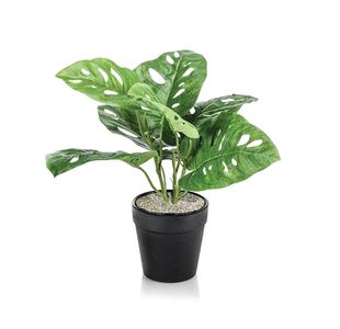 Tabletop Monstera Monkey Matte White Planter LLRMOM340/RDYWH