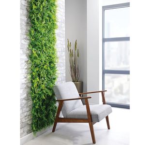 Juniper UV Green Wall RGWJU5050