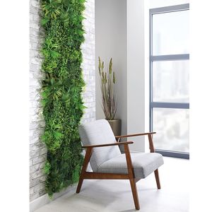Fern Green Wall RGWFR5050