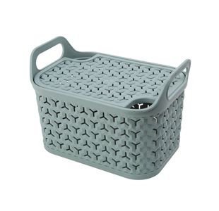 Strata Small Urban Store Basket with Lid 4L Green XW122-LPG-VW