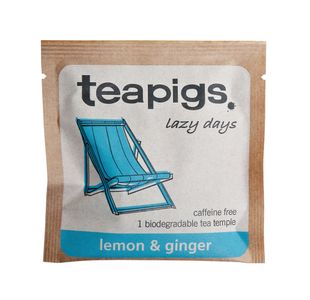 Teapigs Lemon and Ginger Envelope (Pack of 50) FOTEA004