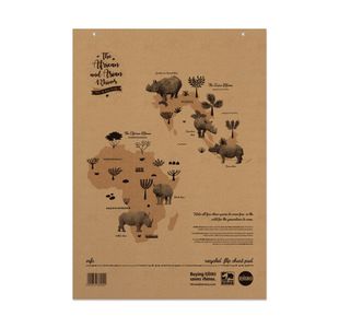 Rhino Recycled Flipchart Pad 20mm Sqd/Plain A1 Pack of 5 SRFC-4 CTN