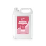 Naturally Clean Antl Sanit 5L Pk2