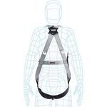 Two-Point Saf Harness Xs-S