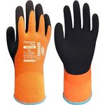 Wg-338 Thermo+ Latex Glv Xl Pk12