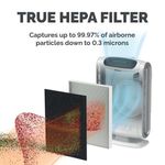 Fellowes Dx55 Medium True Hepa Fltr