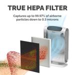 Fellowes Dx55 Medium True Hepa Fltr